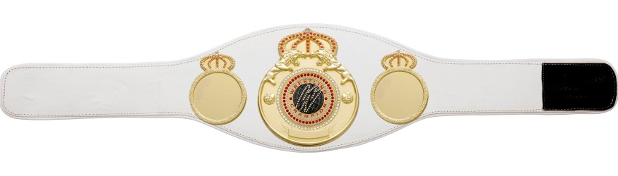 WRESTLING GEM CHAMPIONSHIP BELT PROLION/G/WRESTGEMG - AVAILABLE IN 6+ COLOURS WRESTLING GEM CHAMPIONSHIP BELT PROLION/G/WRESTGEMG - AVAILABLE IN 6+ COLOURS